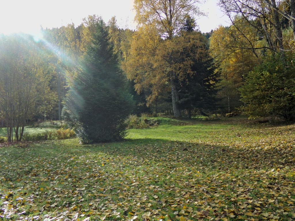 Hotel-Spa & Restaurant Logis Domaine Langmatt Murbach ภายนอก รูปภาพ