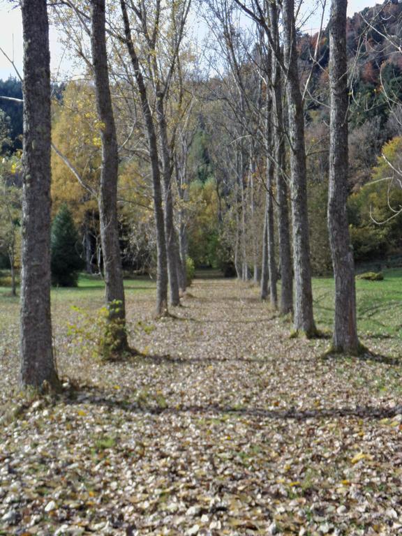 Hotel-Spa & Restaurant Logis Domaine Langmatt Murbach ภายนอก รูปภาพ
