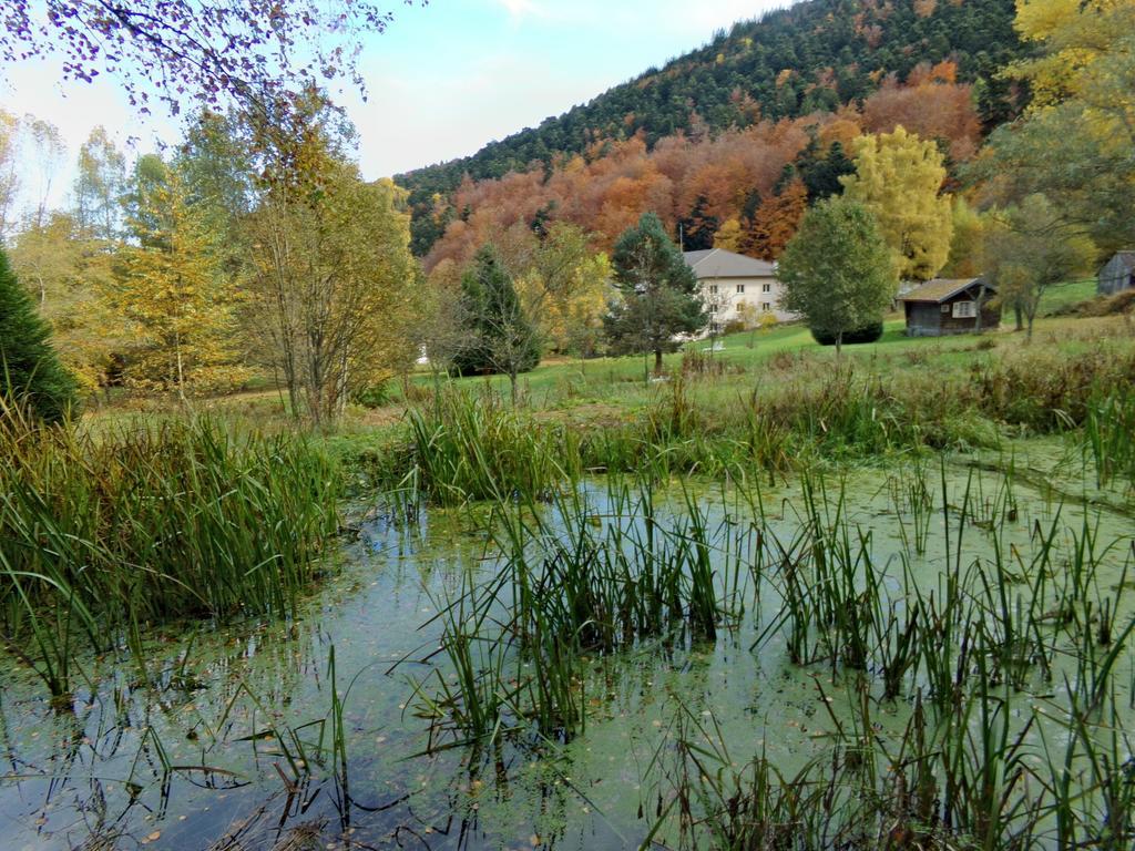 Hotel-Spa & Restaurant Logis Domaine Langmatt Murbach ภายนอก รูปภาพ