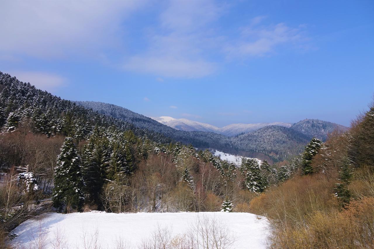 Hotel-Spa & Restaurant Logis Domaine Langmatt Murbach ภายนอก รูปภาพ